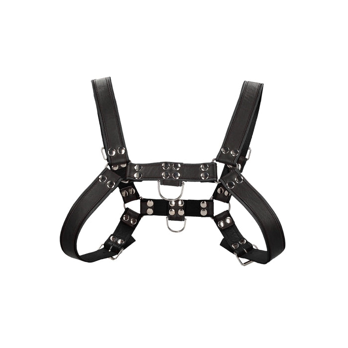 Chest Bulldog Harness